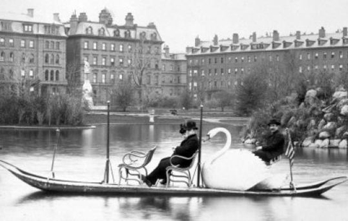 Swan Boat in the Public Garden